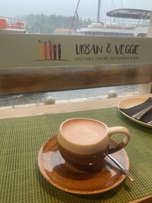  at Urban & Veggie in Dubrovnik