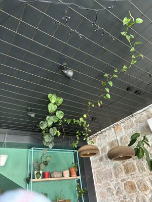   at Urban & Veggie in Dubrovnik