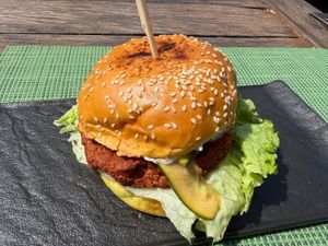 Burger  at Urban & Veggie in Dubrovnik