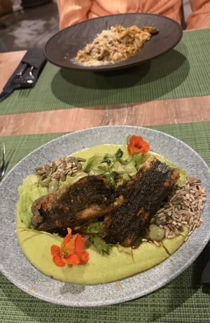   at Urban & Veggie in Dubrovnik