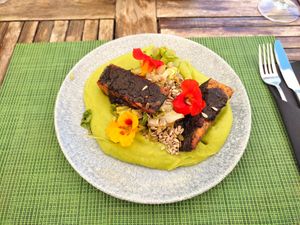 «Captura del Día» (tofu marinado con algas y una cama de puré de patatas y guisantes con habas y ensalada) at Urban & Veggie in Dubrovnik