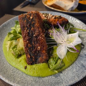  at Urban & Veggie in Dubrovnik