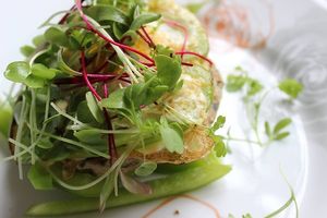 . at Microgreens in Dallas