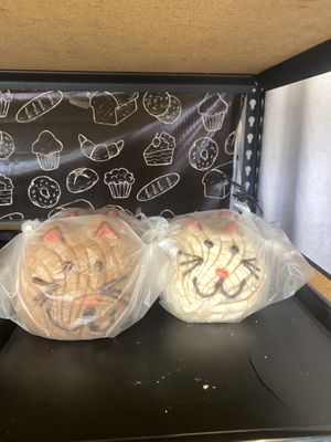 Gatito Concha 😛  at Libres X Siempre in Mexico City