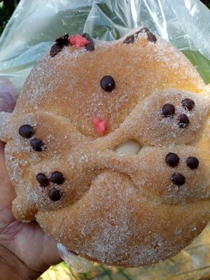  at Libres X Siempre in Mexico City