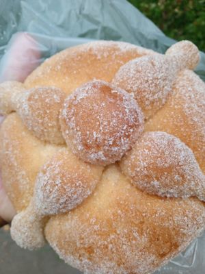  at Libres X Siempre in Mexico City