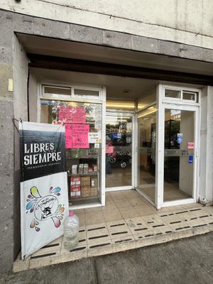 Outside the shop  at Libres X Siempre in Mexico City
