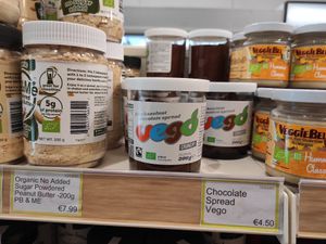Vego at Veganic in Dublin