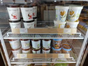 Ice creams at Veganic in Dublin