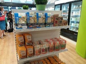 Pastas at Veganic in Dublin