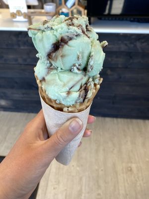 Vegan mint chocolate chip on vegan waffle cone   at Burnt Honey Dessert Company in Nanaimo