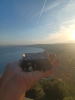 Take away brownie from the top of Colline du Château at Not Dog in Nice