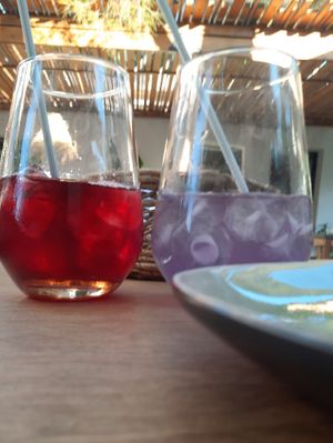 Home-made lemonade and iced tea at Green Kukunari in Crete