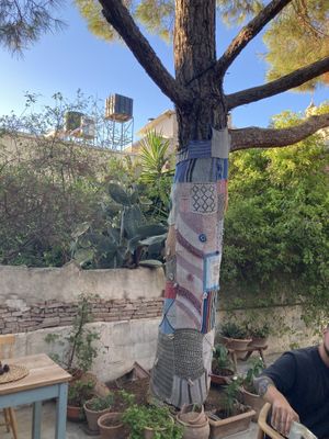   at Green Kukunari in Crete