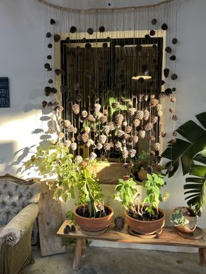   at Green Kukunari in Crete