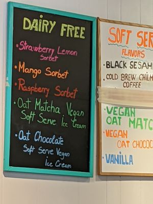 Dairy free options! at Vineyard Scoops in Edgartown