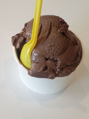  at Melt Ice Creams in Fort Worth