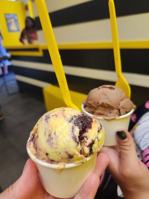 Lemon blueberry pie and chocolate at Melt Ice Creams in Fort Worth