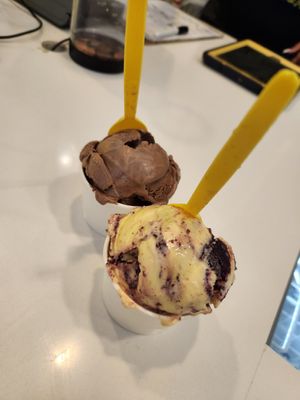 Vegan flavors at Melt Ice Creams in Fort Worth