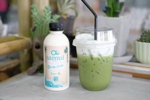 Japanese matcha with fresh home made coconut milk at Chiangmai Cafe in Bangkok