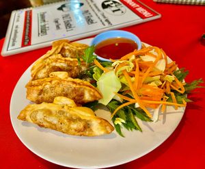 Vegan gyoza at P & T Hostel in Koh Samui