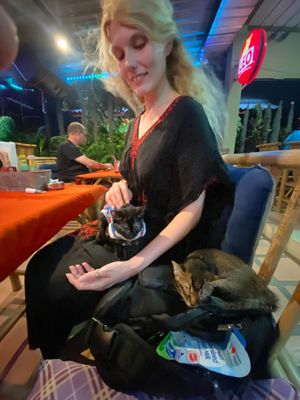  at P & T Hostel in Koh Samui