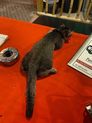  at P & T Hostel in Koh Samui