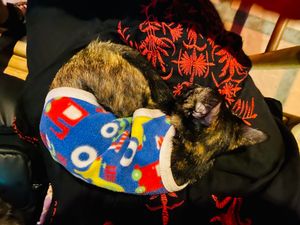  at P & T Hostel in Koh Samui