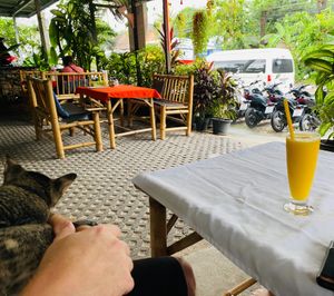 Mango smoothie at P & T Hostel in Koh Samui