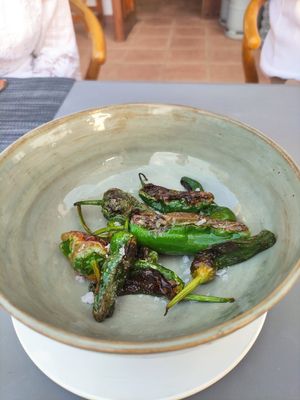Padron tapas at Casa Arts in Malaga