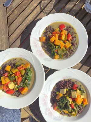 Thai curry with black rice at Casa Arts in Malaga