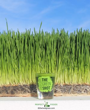 Fresh, organic, soil grown wheatgrass at Perfect Foods in Goshen