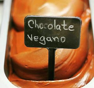 Helados veganos at Naturalmente in San Felipe