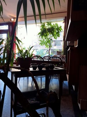  at Pure Kakaw in Amsterdam