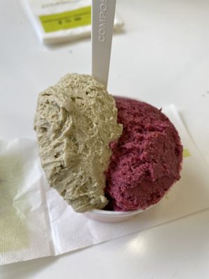 Pistachio / wild berries   at The Gelatist - Via Nazionale in Rome