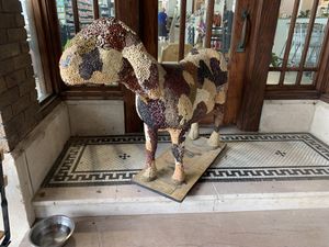 A welcoming friend! at Cornucopia Natural Market & Deli in Galesburg