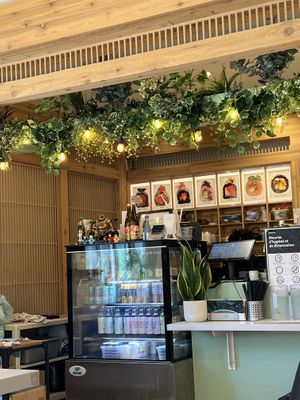 Pics of the sushi at the front counter so you can see what you’re ordering   at Ohana Sushi Vegan in Montreal