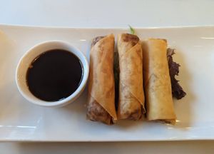 Spring rolls at Ohana Sushi Vegan in Montreal