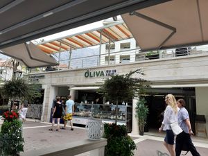 Putside view from the outdoor seating area which overlooks the sea at Oliva in Makarska