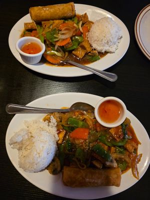 Good options with tofu. Spring rolls were vegan too. at Nori Thai in St Pete Beach