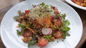 Salad with raspberry dressing (big but not very filling) at Der Schafstall in Handeloh