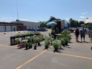 plants at Brighton Farmer's Market in Rochester
