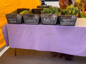 veggie stalls 3 at Brighton Farmer's Market in Rochester