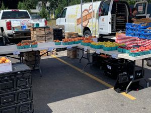 Fruits and Veggies at Brighton Farmer's Market in Rochester
