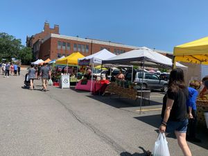 Veggies at Brighton Farmer's Market in Rochester