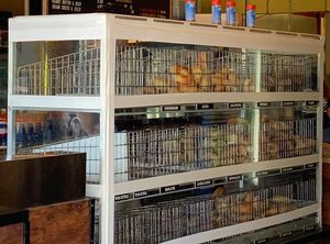 choices at Bagel Land  in Rochester