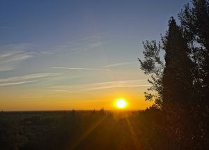 Dusk at La Casa Degli Ulivi in Castagneto Carducci
