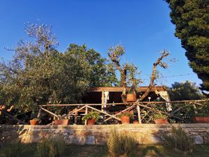 Casa degli ulivi at La Casa Degli Ulivi in Castagneto Carducci