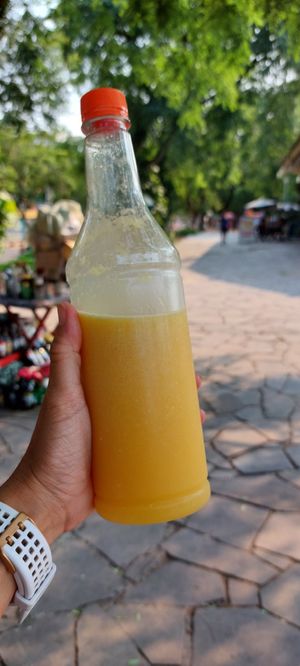  at Feira Ecologica do Bom Fim in Porto Alegre