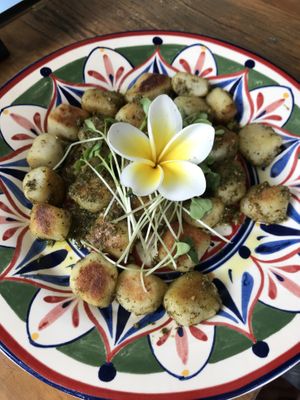   at Casa Graviola in Brasilia